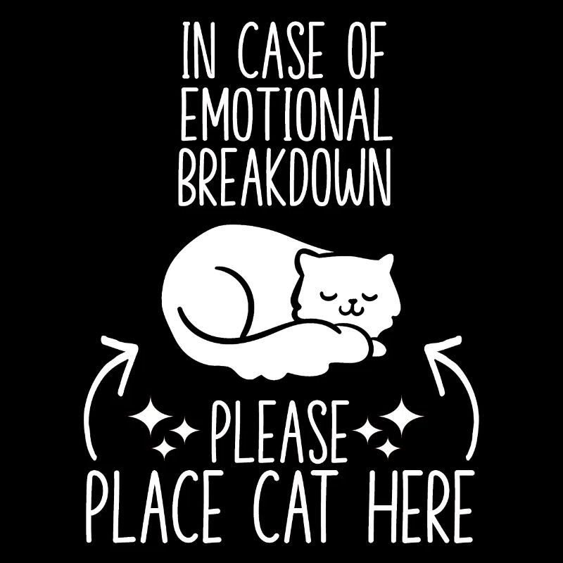 Cats cuddle outfit cat owner kitten