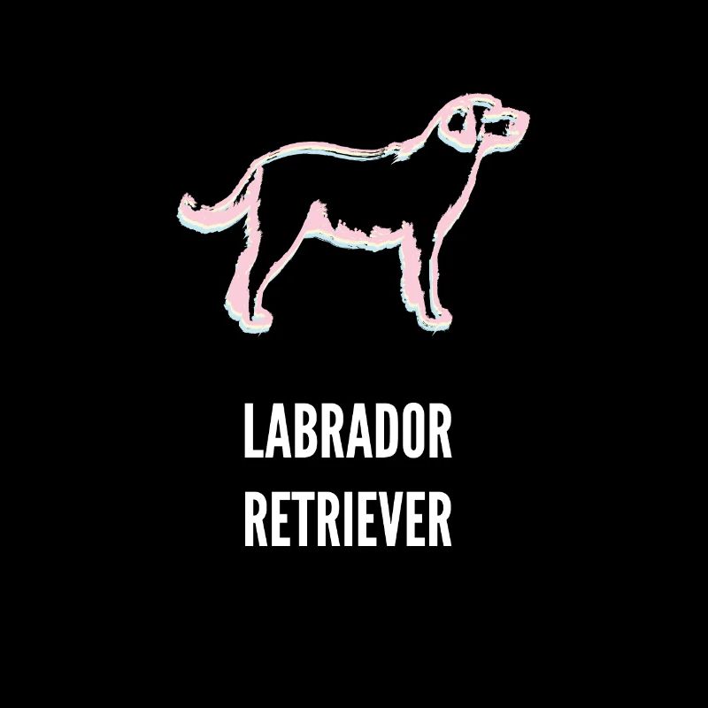 Labrador Retrievers