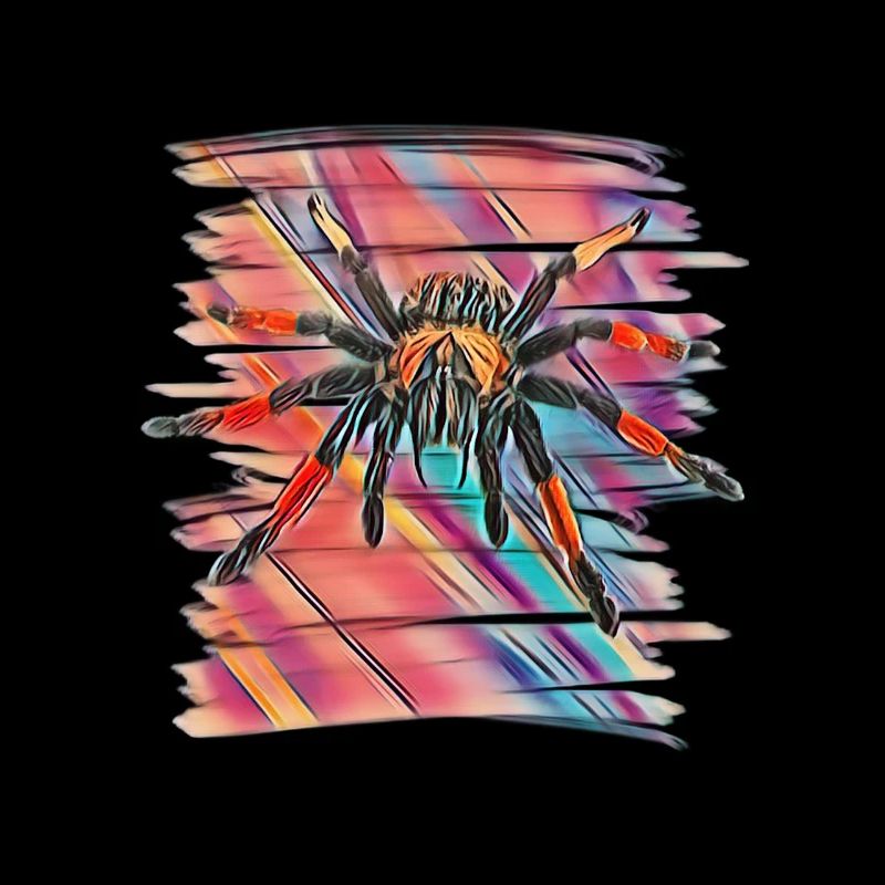 Tarentule