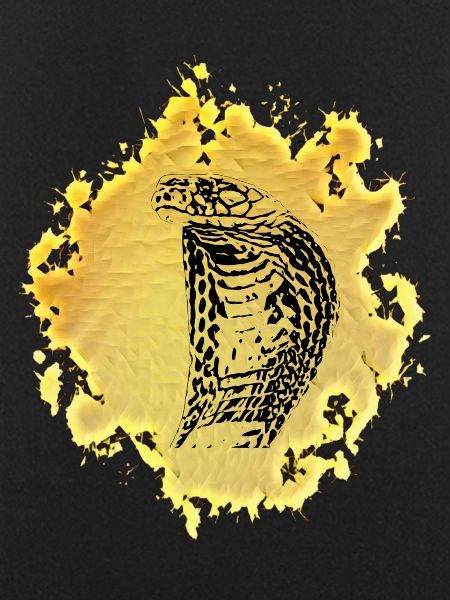 Cobra