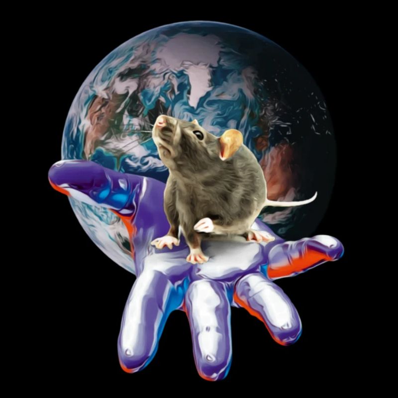 rat