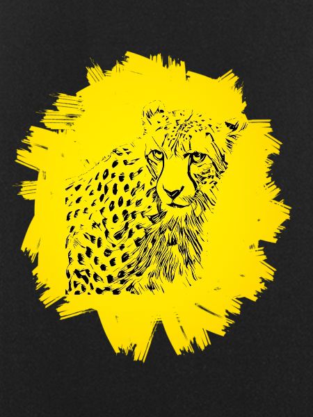 cheetah