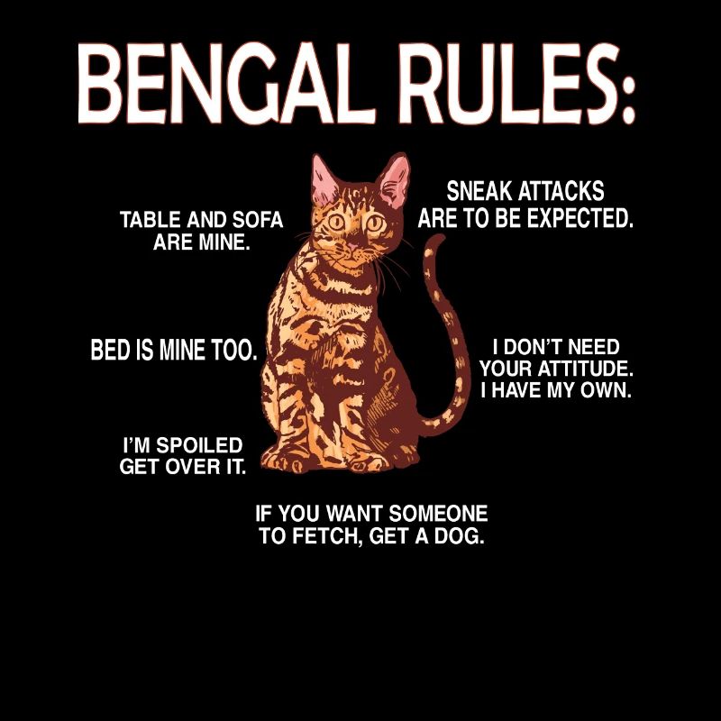 Bengale amants chat bengal propriétaire