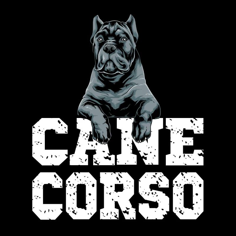 Cane Corso für einen Cane Corso Besitzer Cane