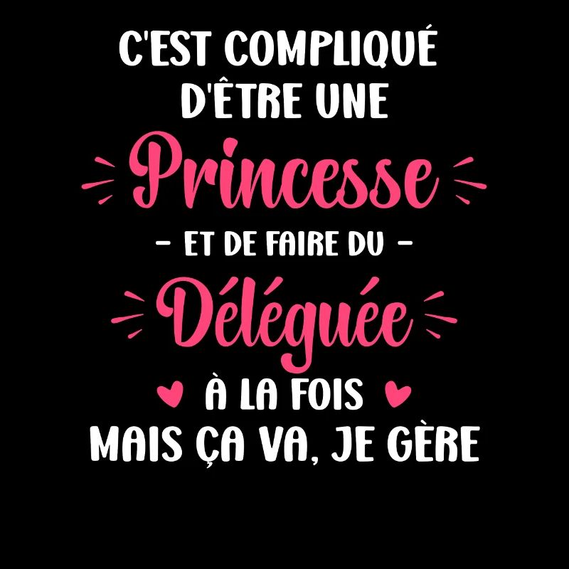 C est compliqué princesse et Déléguée