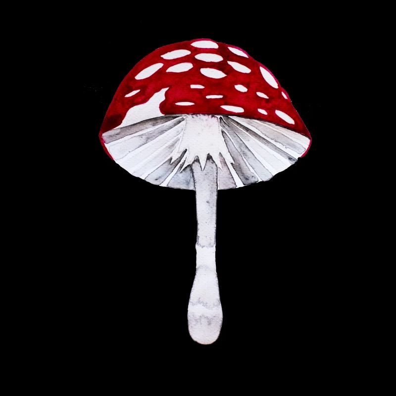 Toadstool I Un cadeau de la chance