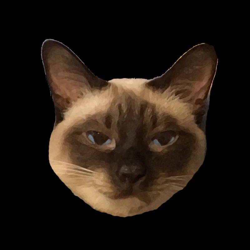 Siamese cat