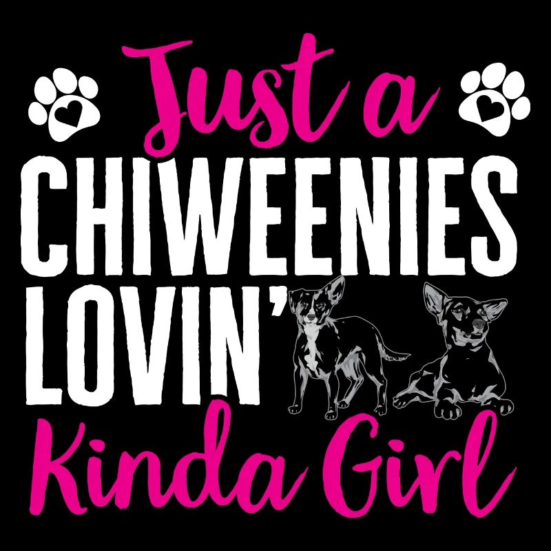 Chiweenie Dog