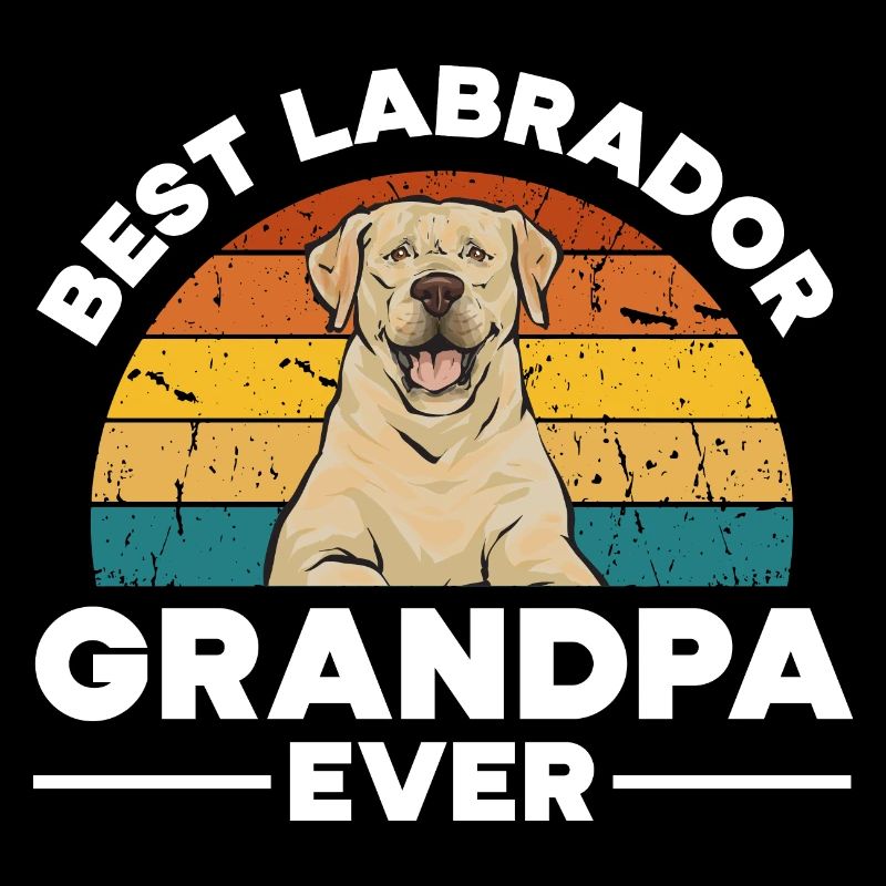 Yellow Labrador Retriever