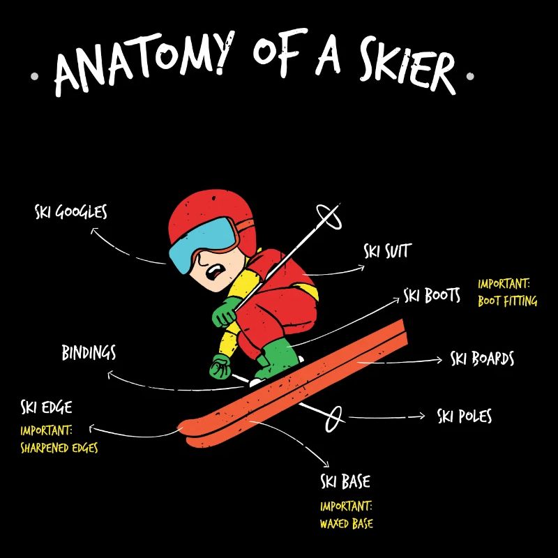 Anatomie eines Skifahrers