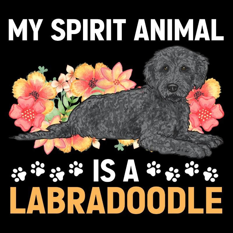 Labradoodle Hund