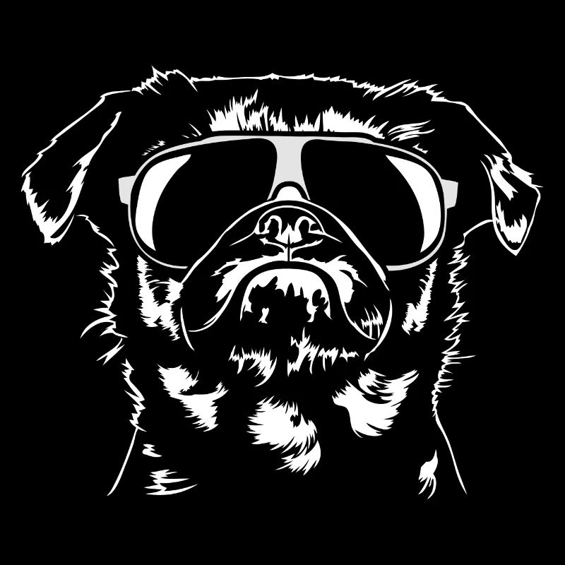PETIT BRABANCON Zwerggriffon cool Wilsigns Hunde
