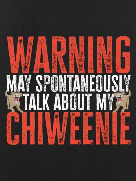 Chiweenie Chien