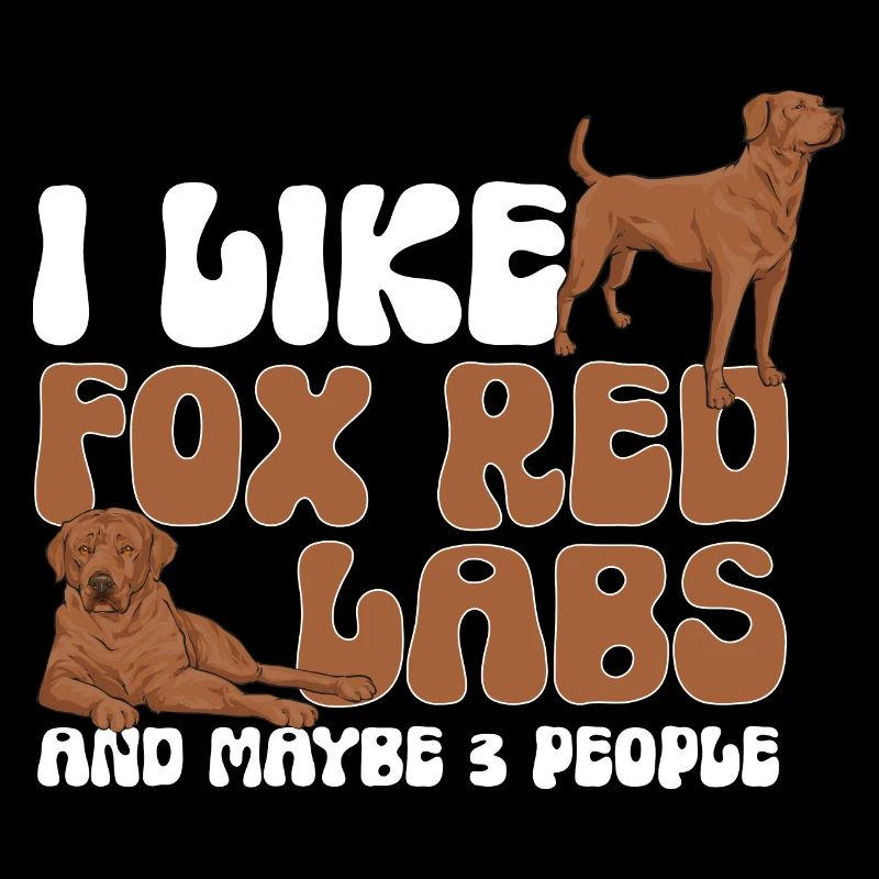 Foxred Labrador Fox Red Labrador Retriever