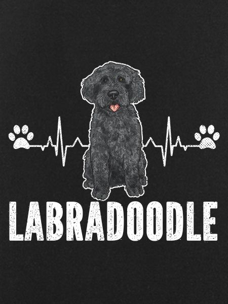 Labradoodle Dog