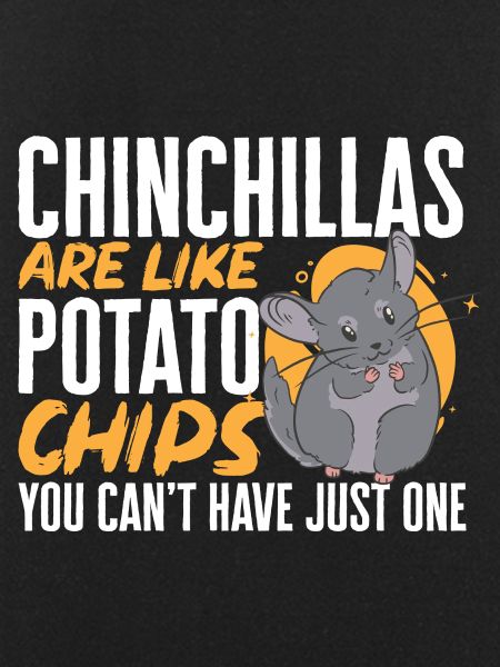 Chinchilla