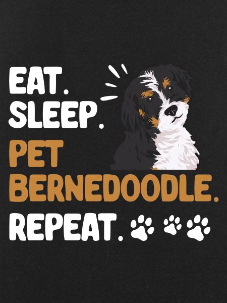 Bernedoodle Dog