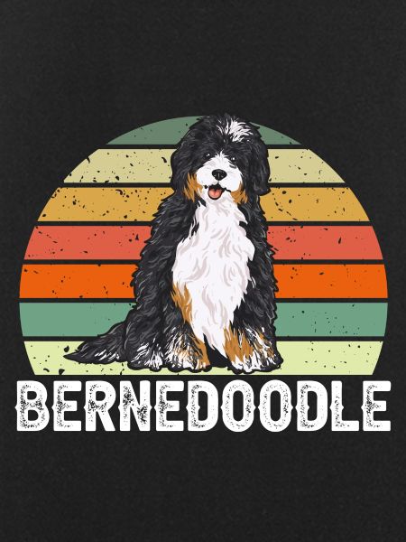 Bernedoodle Dog