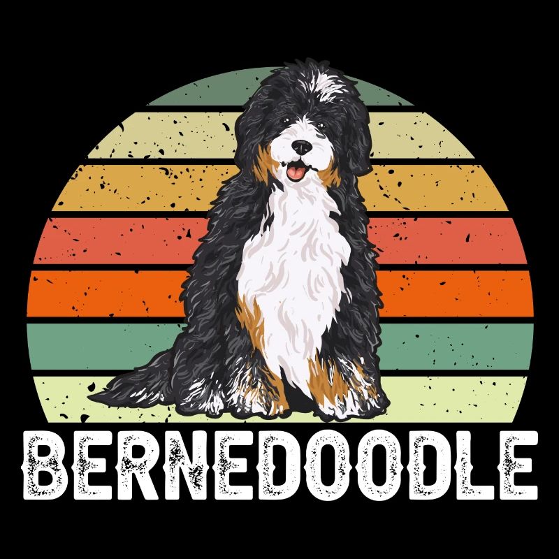 Bernedoodle Hund