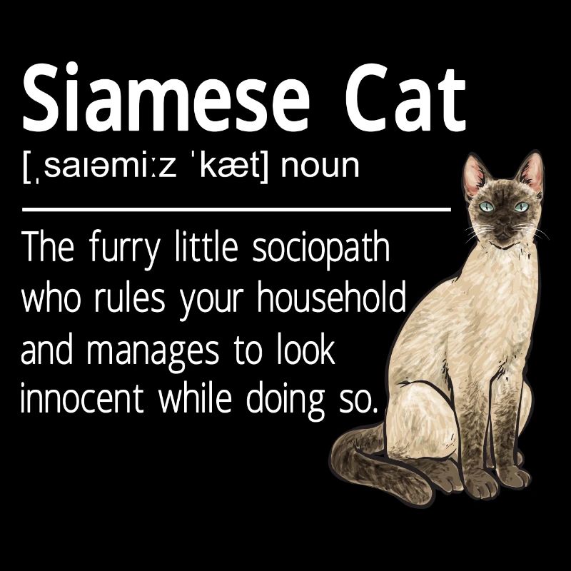 Siamese Cat Siamese Cat
