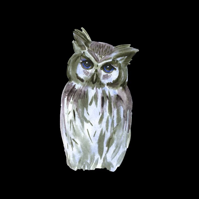 Hibou