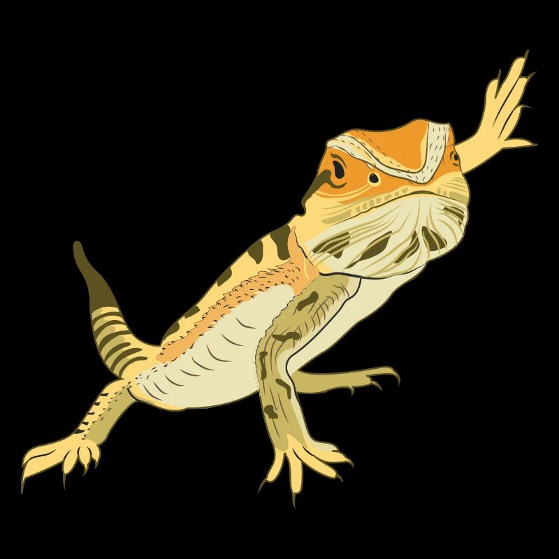 Bartagame Eidechse Reptil Herpetologe