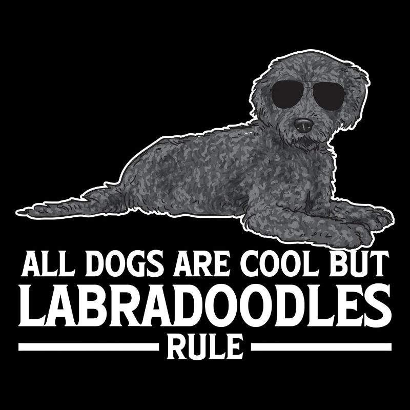 Labradoodle Hund