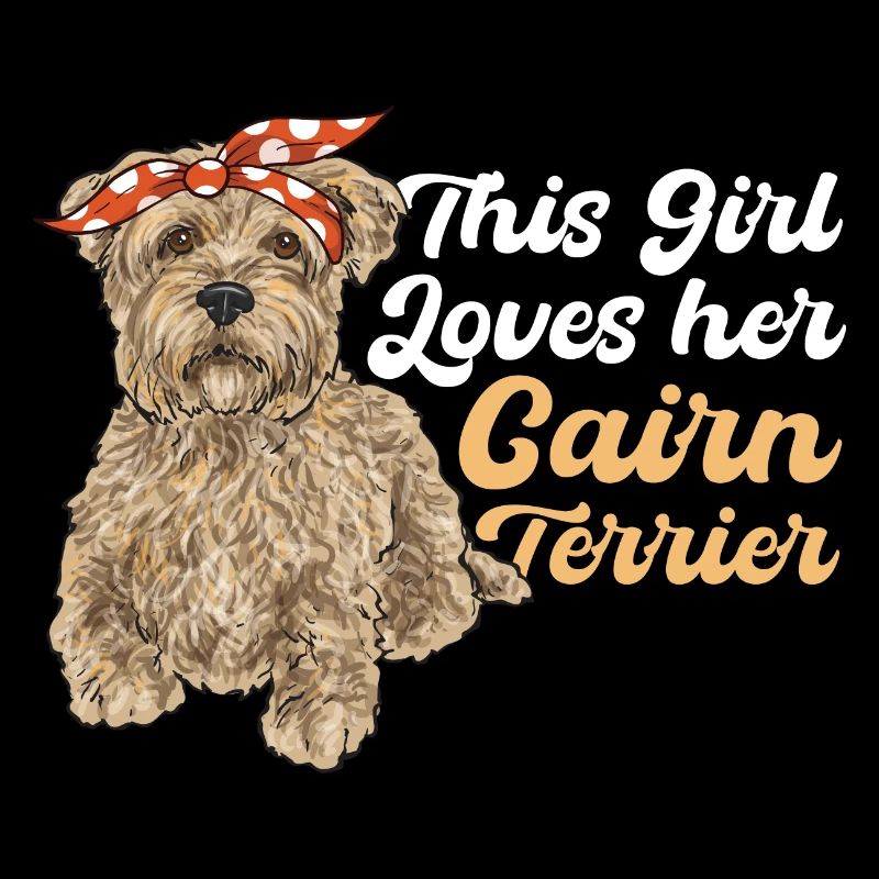 Cairn Terrier Chien