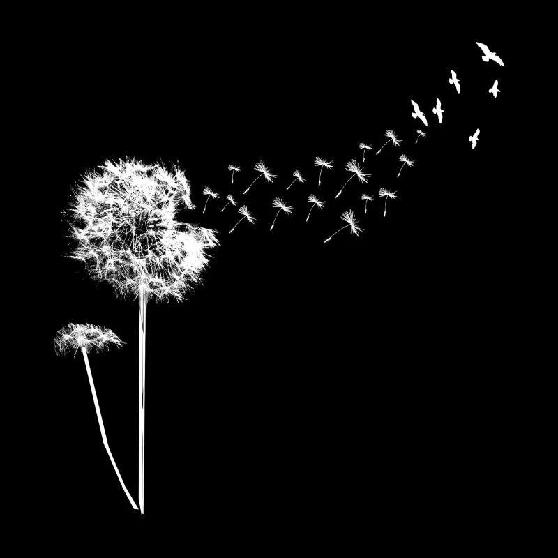 Pusteblume Vögel Blume