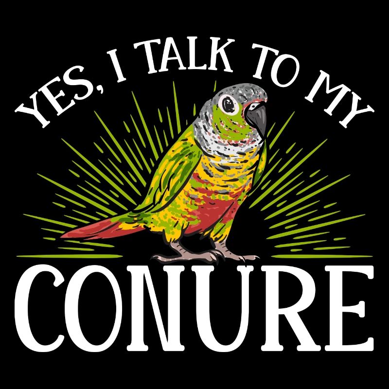 Molinasittich Parrot Bird Sun Parakeet
