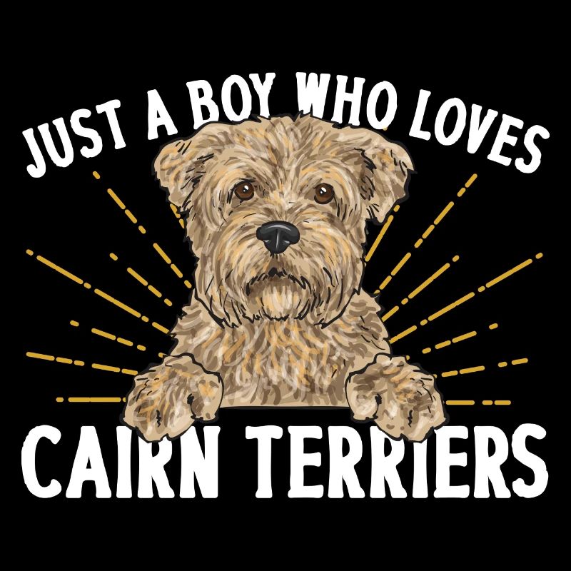 Cairn Terrier Chien