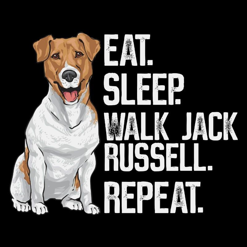 Jack Russell Terrier