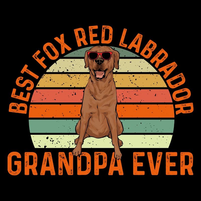Foxred Labrador Fuchsroter Labrador Retriever