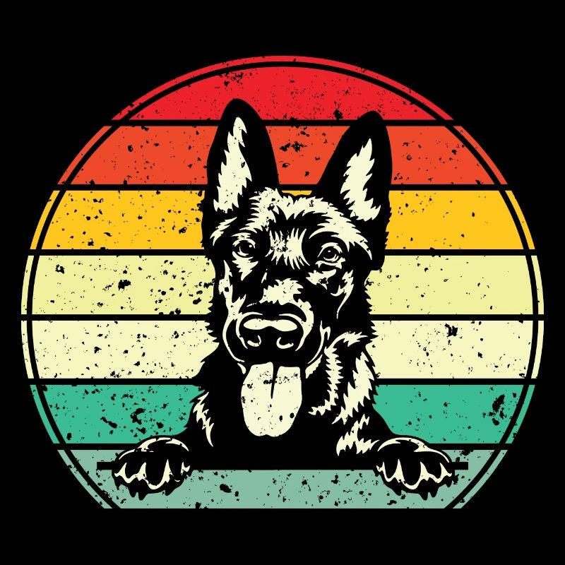 Holländischer Schäferhund Berger hollandais