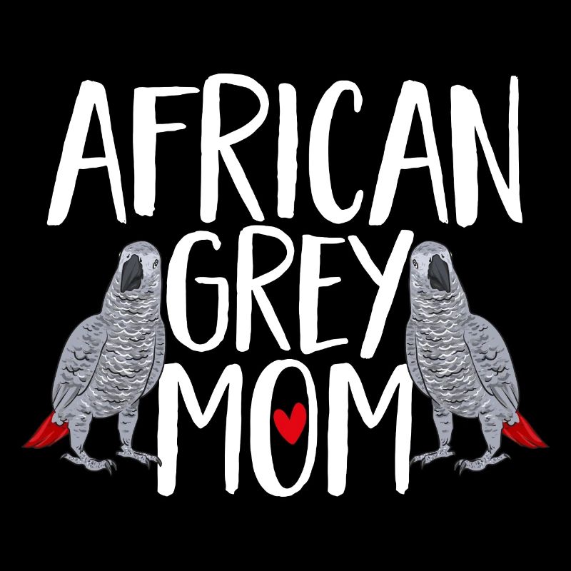 Graupapagei African Grey Parrot Papagei