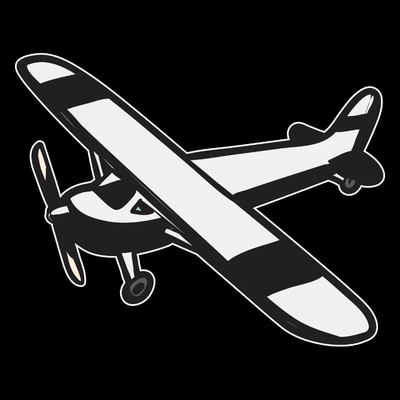 Modèle d’avion télécommandé