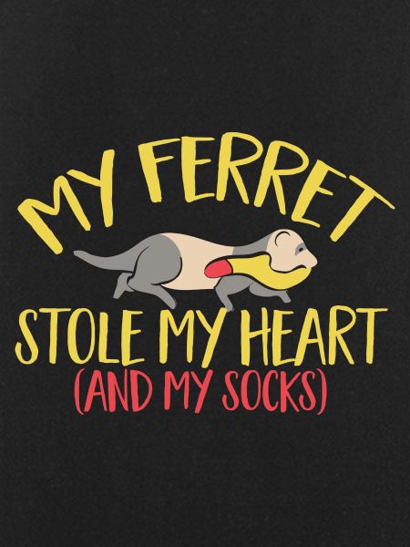 Ferret Owner Ferret