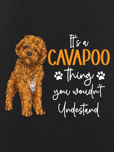 Cavapoo Cavoodle Capoodle Dog
