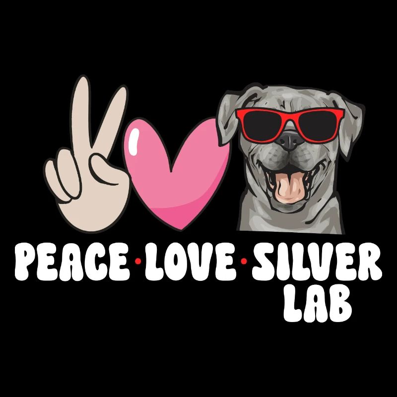 Silver Labrador Retriever Silver Lab
