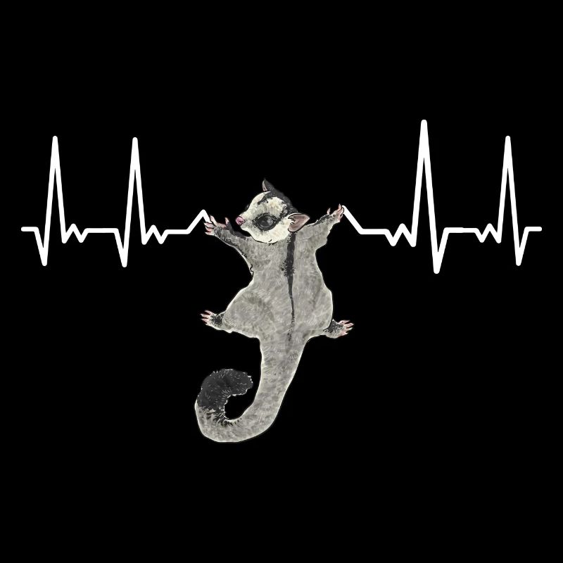 Kurzkopfgleitbeutler Sugar Glider