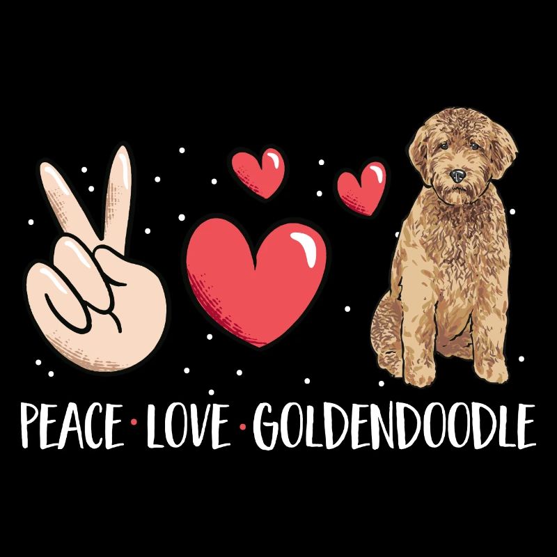 Goldendoodle Doodle Chien