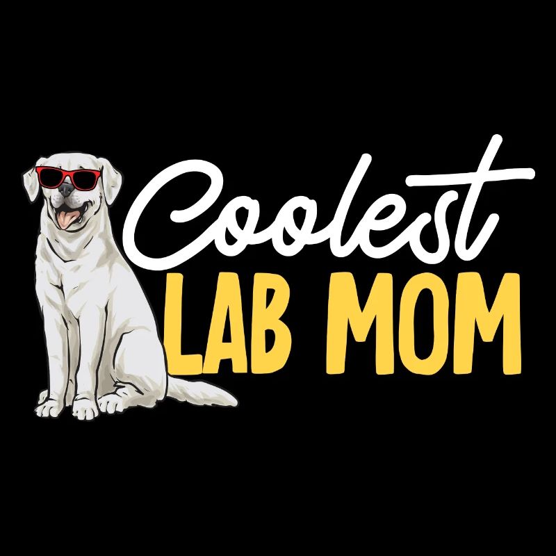 Labrador Retriever blanc Labrador Labrador blanc