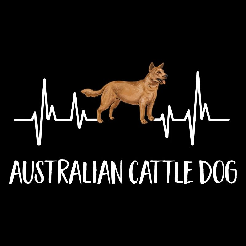 Bouvier australien Red Blue Heeler