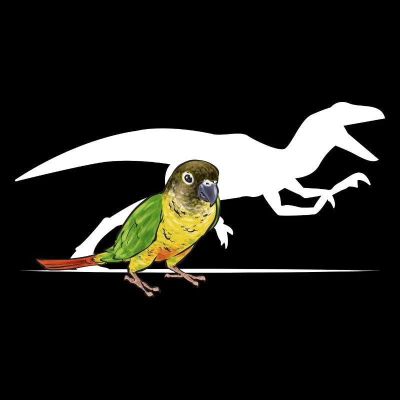 Molinasittich Papagei Vogel Sittich