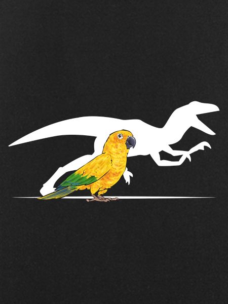 Parakeet Parrot Parakeet Bird