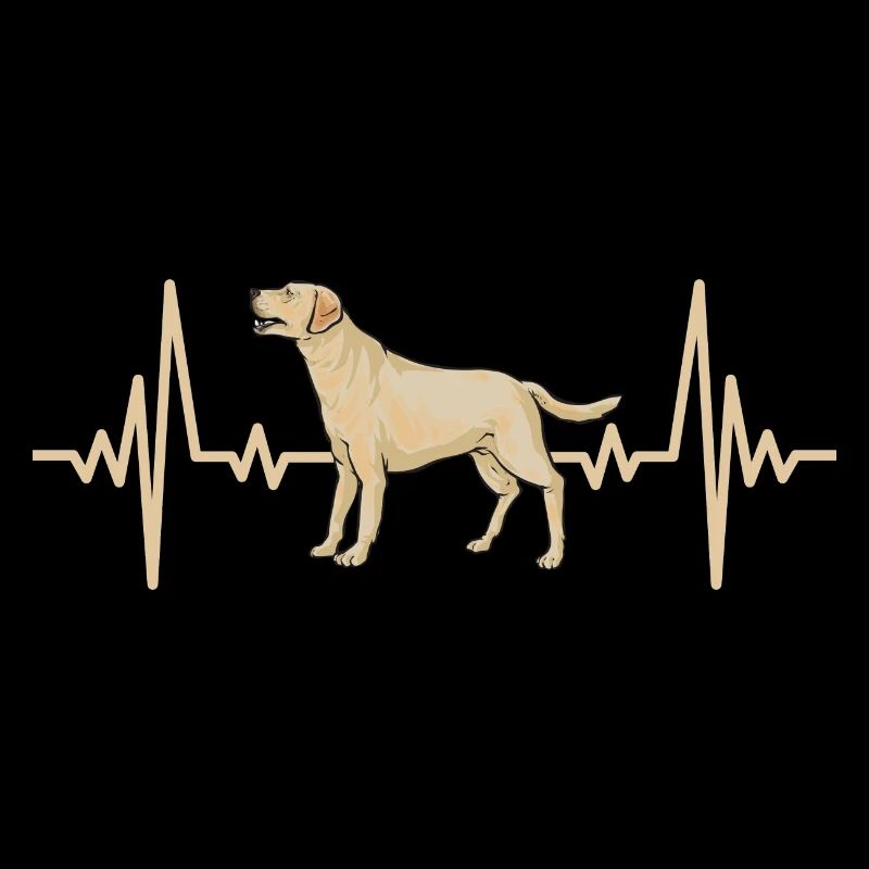 Labrador Retriever jaune