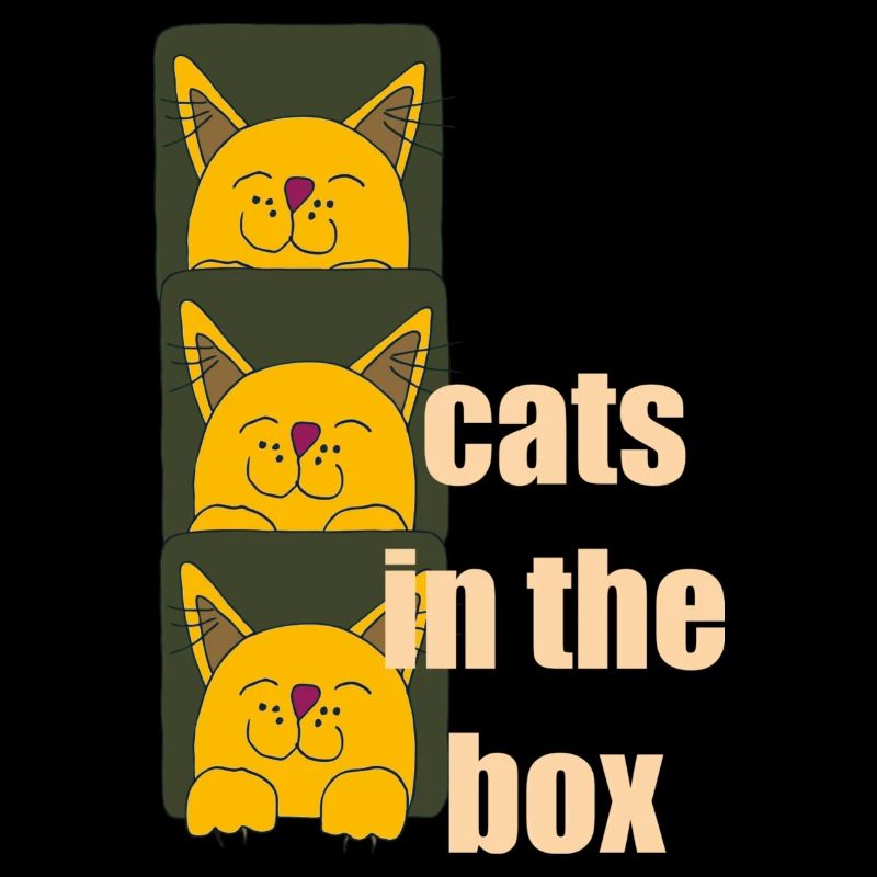 chats dans la boîte