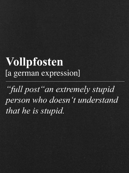 Vollpfosten Funny German Idiom