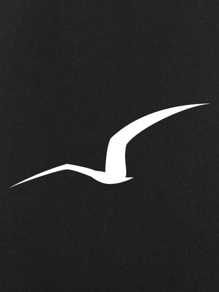Seagull Silhouette
