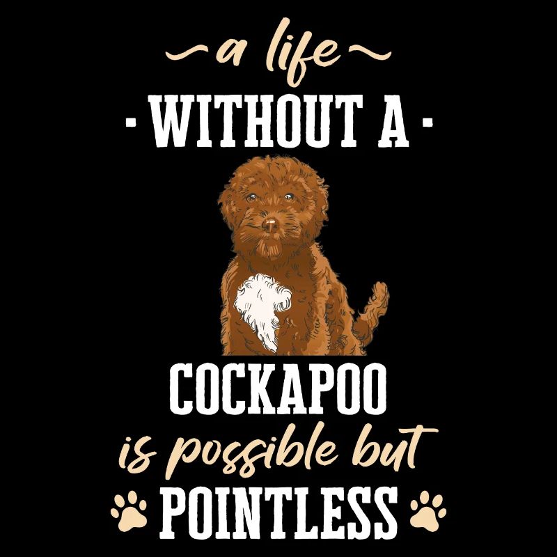 Cockapoo Hund